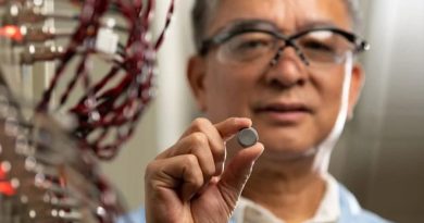 Científicos desarrollaron baterías de iones de sodio de alto rendimiento