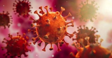 Científicos indios crean mecanismo para inactivar virus SARS-CoV-2