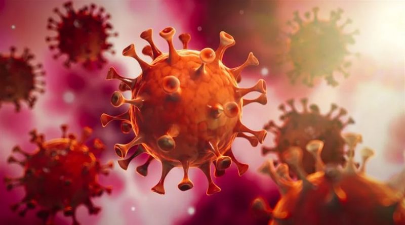Científicos indios crean mecanismo para inactivar virus SARS-CoV-2