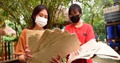 Ensayan en Vietnam elaboración de papel con excremento de elefantes