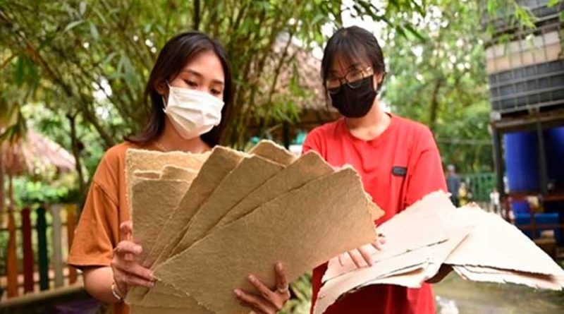 Ensayan en Vietnam elaboración de papel con excremento de elefantes