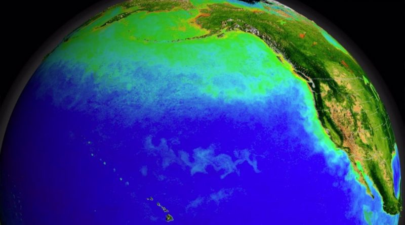 Descubren respiraderos hidrotermales de alta temperatura fuera del eje conocidos en la dorsal del Pacífico Oriental