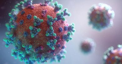 Hepatitis infantil aguda: dos virus trabajando juntos serían los causantes de la enfermedad