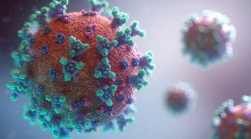 Hepatitis infantil aguda: dos virus trabajando juntos serían los causantes de la enfermedad