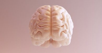 El cerebro humano y ocho curiosidades que curiosidades
