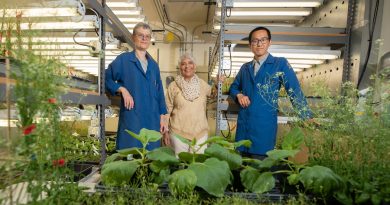Descubren que las plantas producen su propia aspirina para protegerse del estrés ambiental