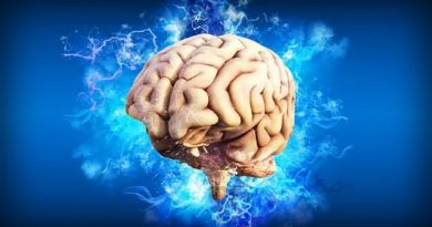 Descubrieron el punto G del cerebro: las utilidades que podría tener el hallazgo