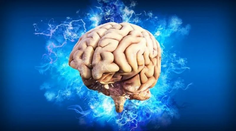 Descubrieron el punto G del cerebro: las utilidades que podría tener el hallazgo