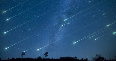 Lluvia de estrellas Perseidas, la más espectacular del año, dónde y cómo verla