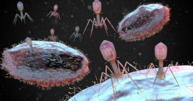 ¿Cómo los virus gigantes podrían ayudar a combatir la resistencia a los antibióticos?