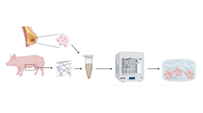Investigadores crean una 'biotinta' para la bioimpresión 3D de tumores