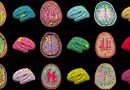Desarrollan un algoritmo de IA que detecta anomalías cerebrales y podría ayudar a curar la epilepsia