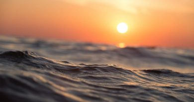 Investigadores descubren un desconocido ciclo de reciclaje de hidrocarburos en el océano