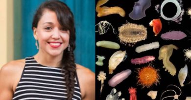 Ella es la científica mexicana que ayuda a descubrir nuevas especies marinas