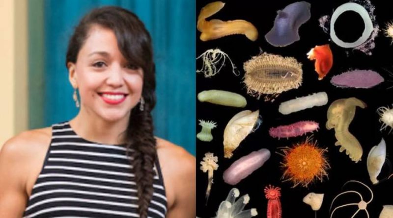 Ella es la científica mexicana que ayuda a descubrir nuevas especies marinas