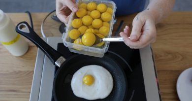 Empresa de tecnología alimentaria produjo huevos a base de plantas