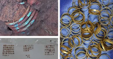 Descubren una tumba prehistórica con 169 anillos de oro en Rumanía