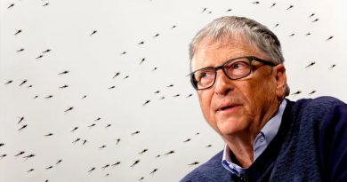 Por qué el mosquito es el animal más mortífero, según Bill Gates