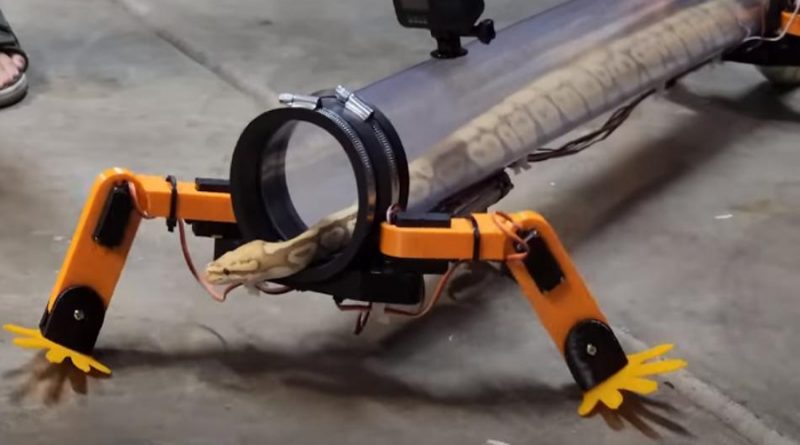 ‘Youtuber’ hace caminar a una serpiente con patas robóticas