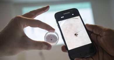 Ahora se pueden rastrear en tiempo real mosquitos que portan enfermedades por el mundo