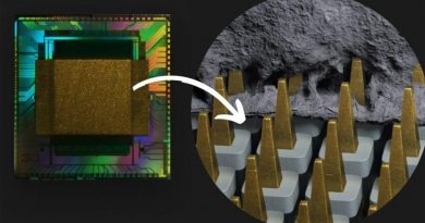 El microchip 3D de una empresa suiza facilitará el diagnóstico de enfermedades cerebrales
