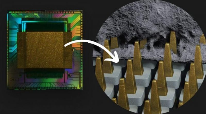 El microchip 3D de una empresa suiza facilitará el diagnóstico de enfermedades cerebrales