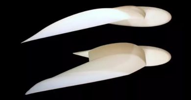 Los cambios en las alas de las gaviotas inspiran aeronaves del futuro