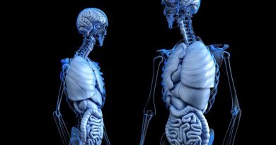 Científicos buscan hacer 'crecer' nuevos órganos en el cuerpo humano