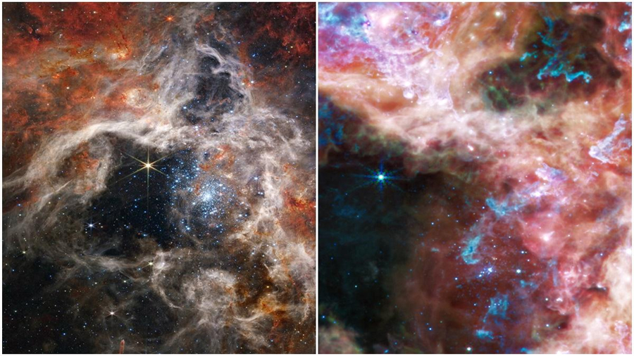 Telescopio Webb revela el sorprendente interior de la nebulosa Tarántula y esto fue lo que encontró