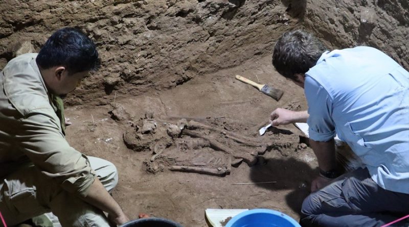 Descubren que los humanos hacían cirugías hace 31,000 años