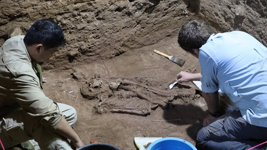 Descubren que los humanos hacían cirugías hace 31,000 años