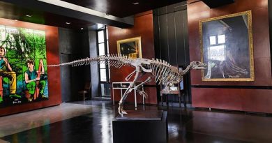 Subastan en París un dinosaurio de 150 millones de años muy bien conservado