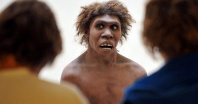 Estudio revela las diferencias cognitivas entre los neandertales y los humanos modernos