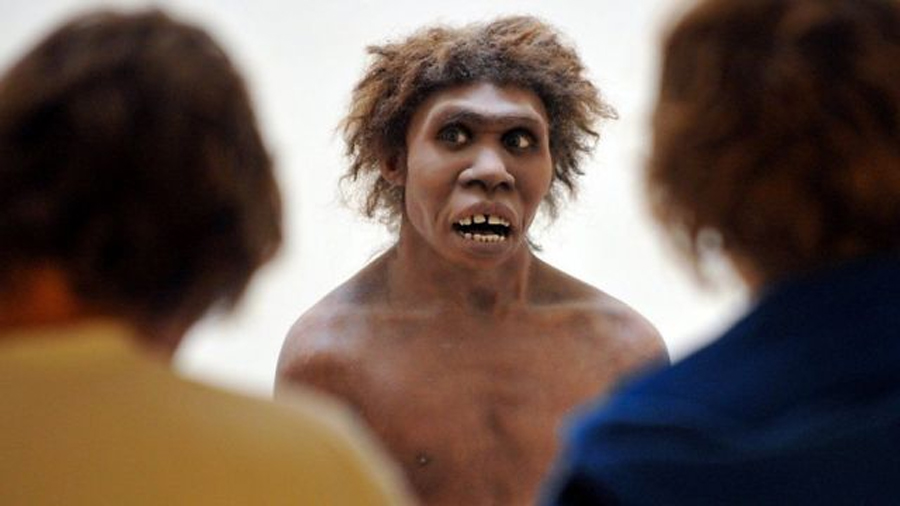 Estudio revela las diferencias cognitivas entre los neandertales y los humanos modernos