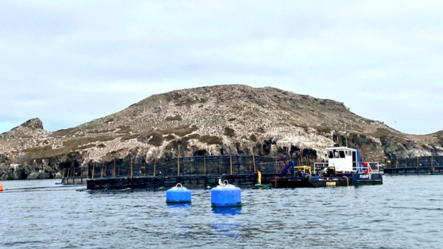 Nombran montañas marinas en honor de científicos mexicanos