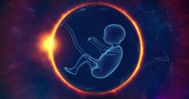 Los embarazos artificiales ya están aquí: así es la 'Ectogénesis', la nueva tecnología trashumanista