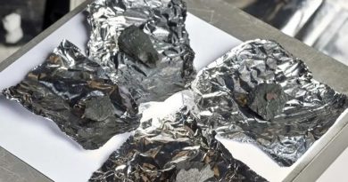 Descubren agua extraterrestre en meteorito que cayó a la Tierra el año pasado