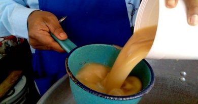 Propiedades funcionales de las bebidas fermentadas tradicionales de maíz de México
