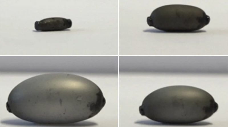 Potente “robot-píldora” de un milímetro de largo podría cambiar el futuro de la cirugía