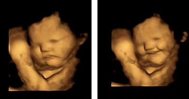 Científicos descubren la reacción de bebés en el vientre al probar diferentes comidas