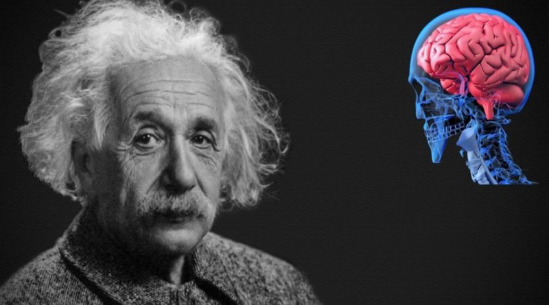 ¿Por qué Albert Einstein era tan inteligente? Revelan si su cerebro era diferente al promedio