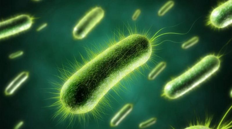 Descubren cómo se mueven las bacterias, poniendo fin a un misterio de 50 años