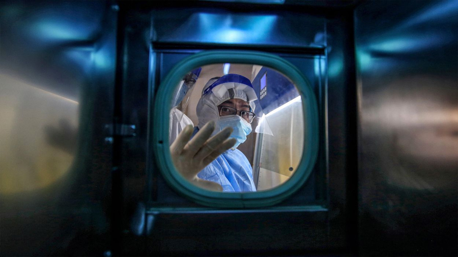 Científicos buscan al patógeno X, el organismo con mayor riesgo de causar una pandemia