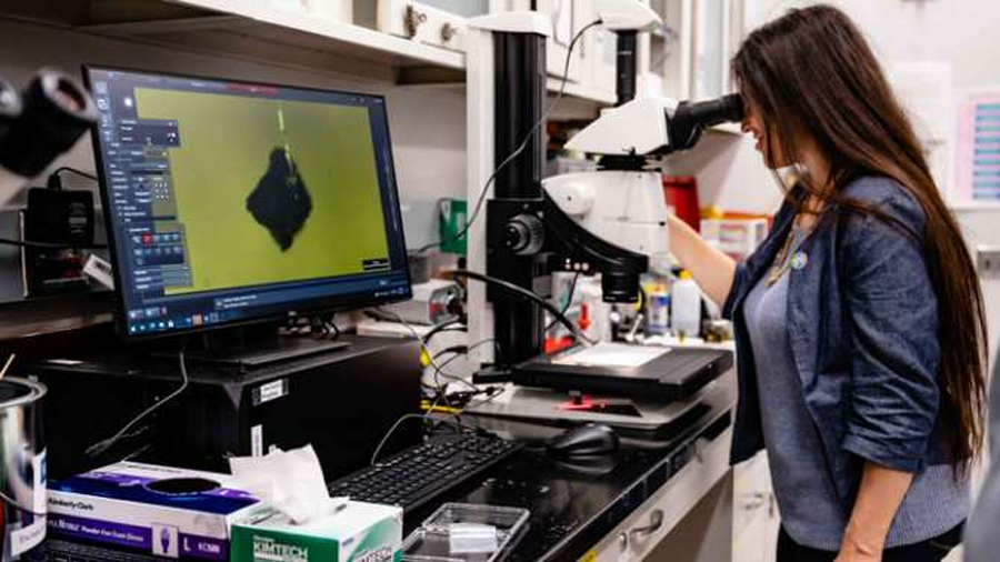 Descubren dónde se creó el asteroide Ryugu