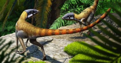Un reptil fósil del Triásico resulta ser ancestro de los pterosaurios