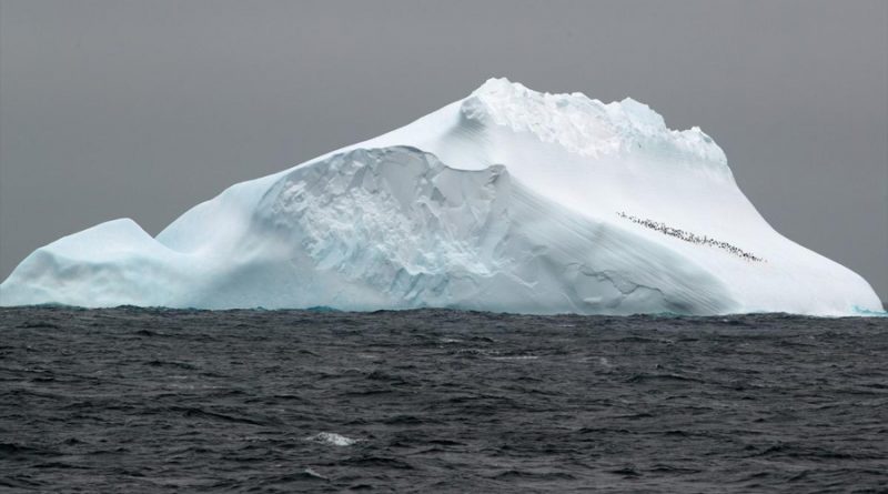 Detectan en la Antártida el ADN marino más antiguo de la historia
