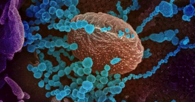 cómo el coronavirus SARS-CoV-2 se comunica con las células humanas