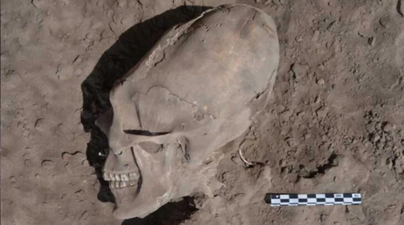 ¿Aliens, dónde? Descubren cráneos ovalados en Sonora y ya surgieron las teorías
