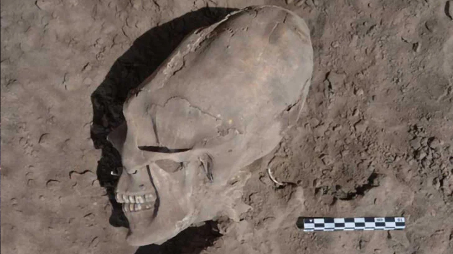 ¿Aliens, dónde? Descubren cráneos ovalados en Sonora y ya surgieron las teorías