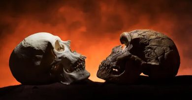 Humanos modernos y neandertales convivieron entre 1,400 y 2,900 años